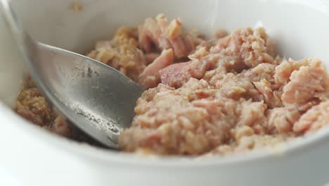 canned tuna in a bowl with spoon