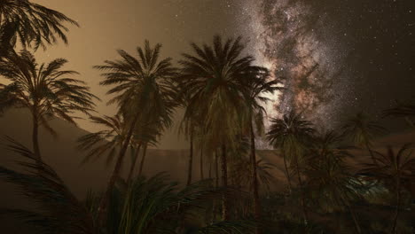 desert oasis at night with milky way