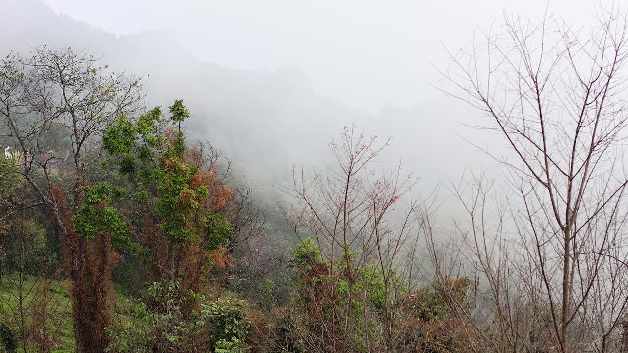 안개가 쌓인 풍경은 시간이 지남에 따라 서서히 사라집니다.