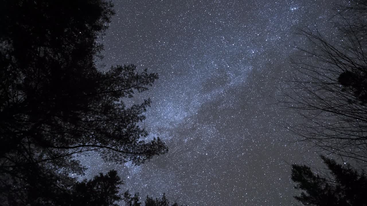 은하수와 겨울 밤하늘의 회전 시간 경과, 자연 경관의 나무 실루엣
