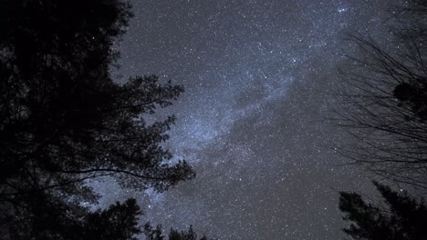 Lapso-De-Tiempo-Giratorio-De-La-Vía-Láctea-Y-El-Cielo-Nocturno-De-Invierno,-Silueta-De-árboles-En-El-Paisaje-Natural