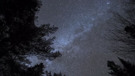 rotating time lapse of milky way and winter night sky, silhouette of trees in natural landscape