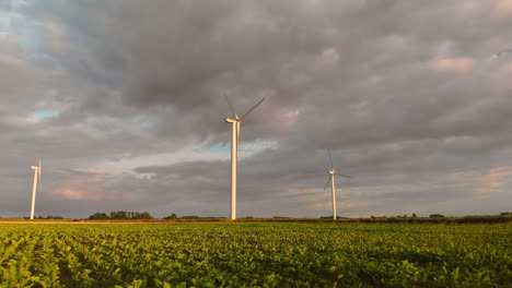 Aerogeneradores-Durante-La-Puesta-De-Sol-En-El-Suroeste-De-Los-Países-Bajos