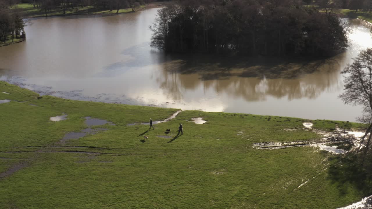 disparo de drone de pareja paseando a sus perros alrededor de un lago