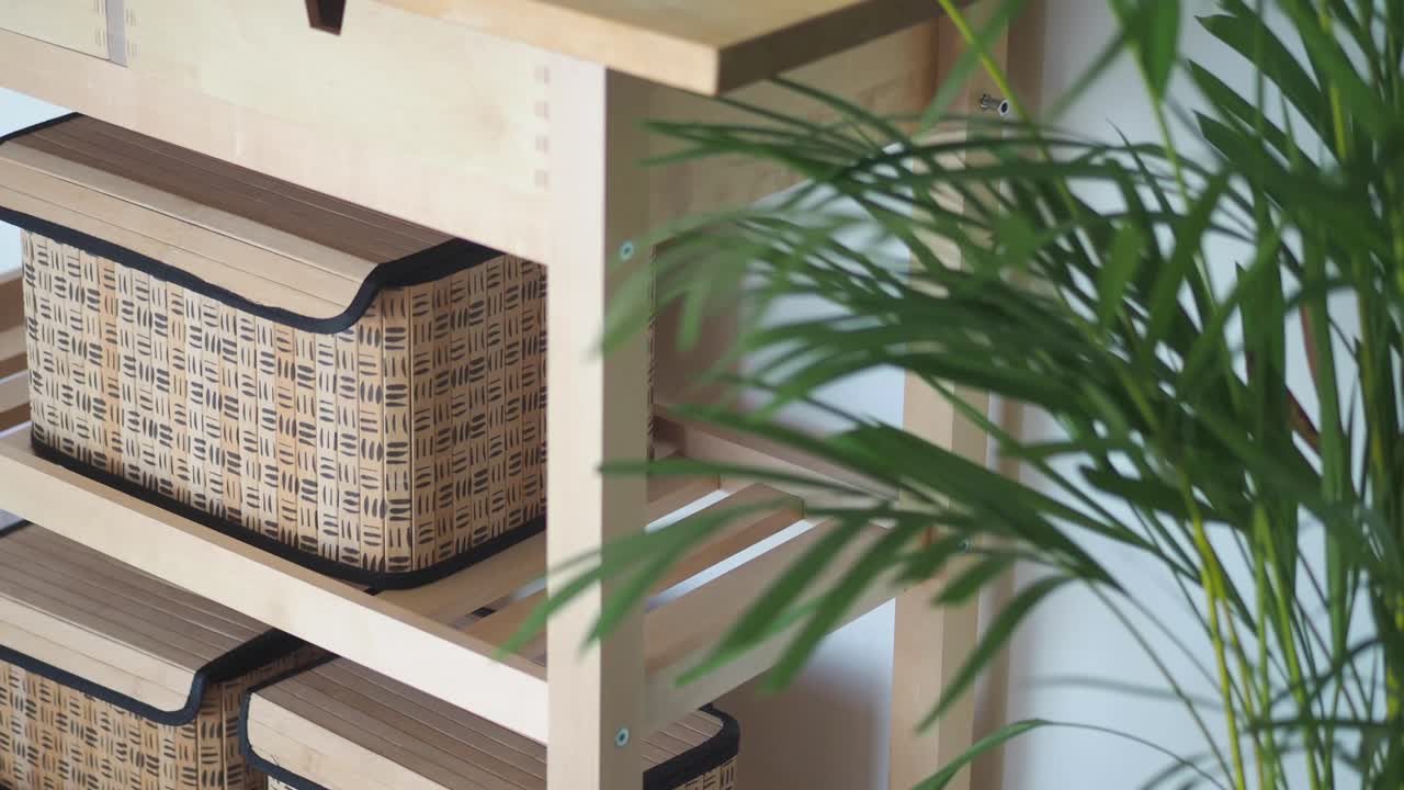 Storage Solutions with Baskets and Indoor Plants