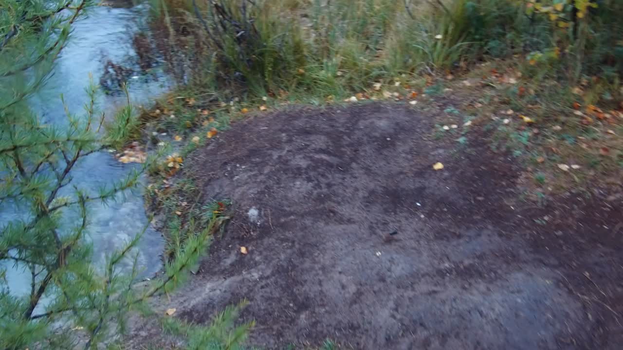 은 가을의 날 알타이 산맥의 숲의 하천과 파란 게이저 호수의 파노라마