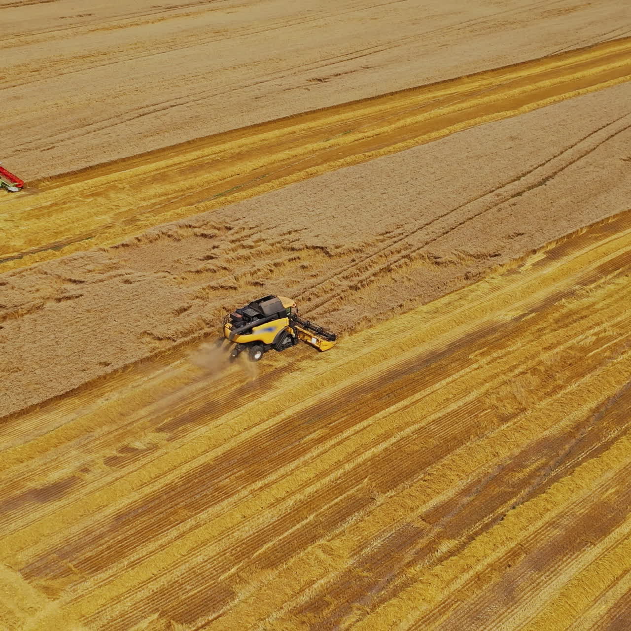 Combine harvesters working on golden field background. Agricultural machinery harvesting crop in the farmland. Aerial view. Motion camera back.