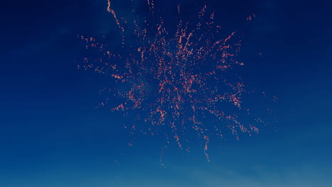 fireworks in the sky