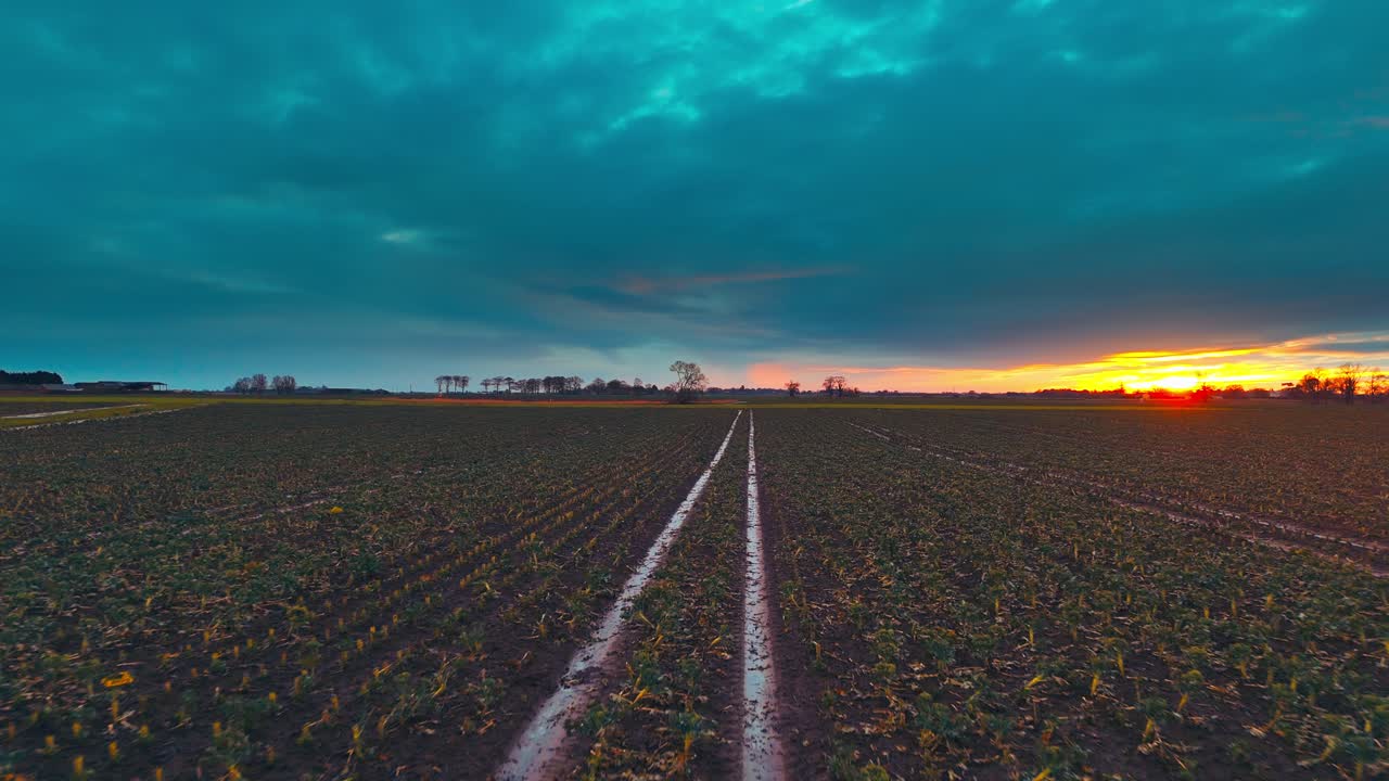 Scena rurale da sogno al tramonto con terreni agricoli, sentieri, albero malinconico e casa colonica, calda serata rosa e arancione. Pioggia con sentieri fangosi, pista, campagna invernale selvaggia, panorama inglese, stile di vita rustico