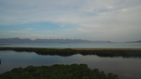 Aerial-shot-of-mangroves-and-the-sea-in-the-San-Jose-Island,-Sea-of-Cortez