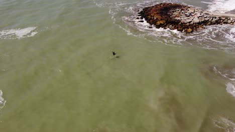 Man-balancing-on-slackline-over-ocean-waters