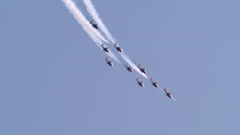 formation flight aerobatics airshow rcaf snowbirds demonstration team
