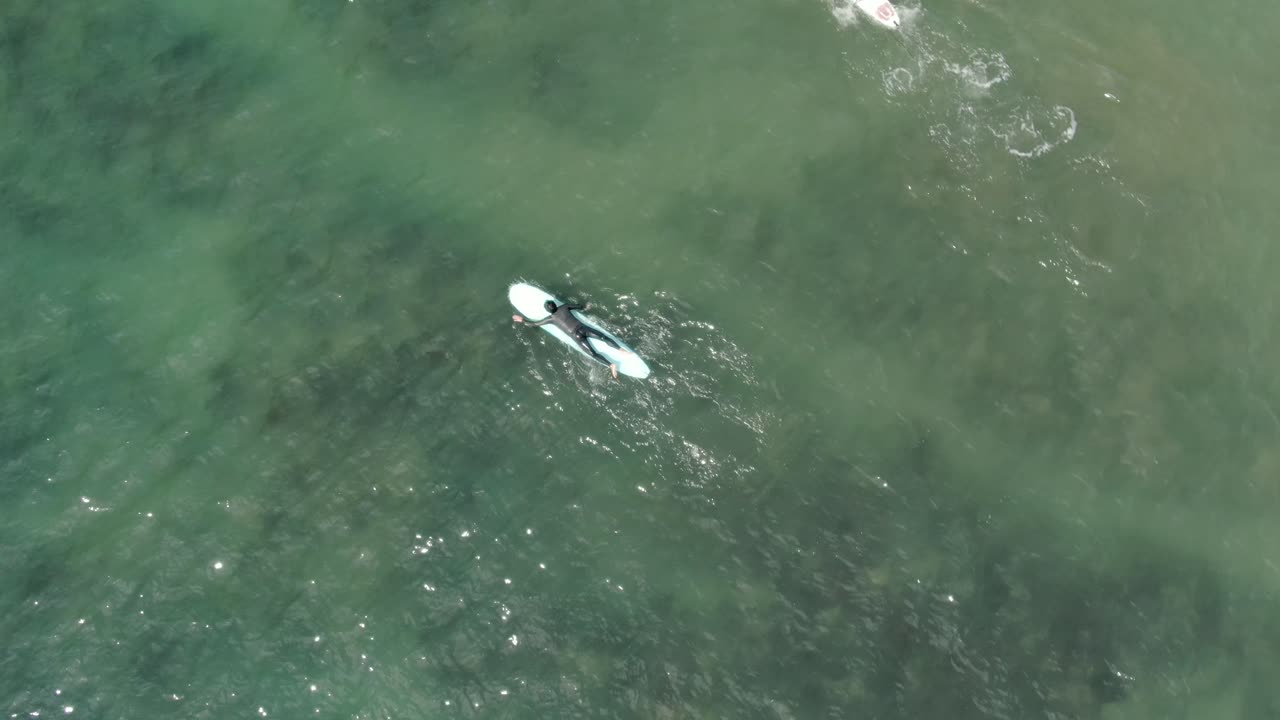surfistas en el mar, kamakura, japón