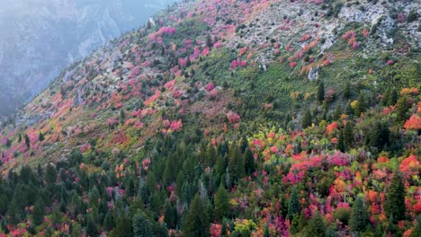 a picturesque landscape of mountain forest with autumnal foliage on trees during fall season in utah, usa