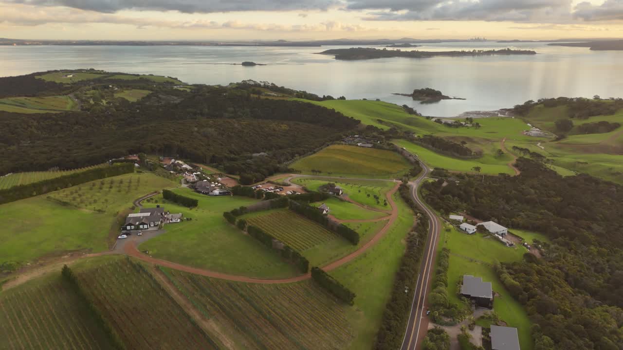 Ocean view with vineyards and houses on Waiheke Island, New Zealand