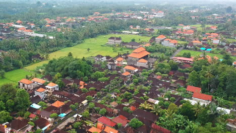 Vista-Aérea-De-Un-Pequeño-Pueblo-En-Bali,-Durante-Un-Día-Soleado