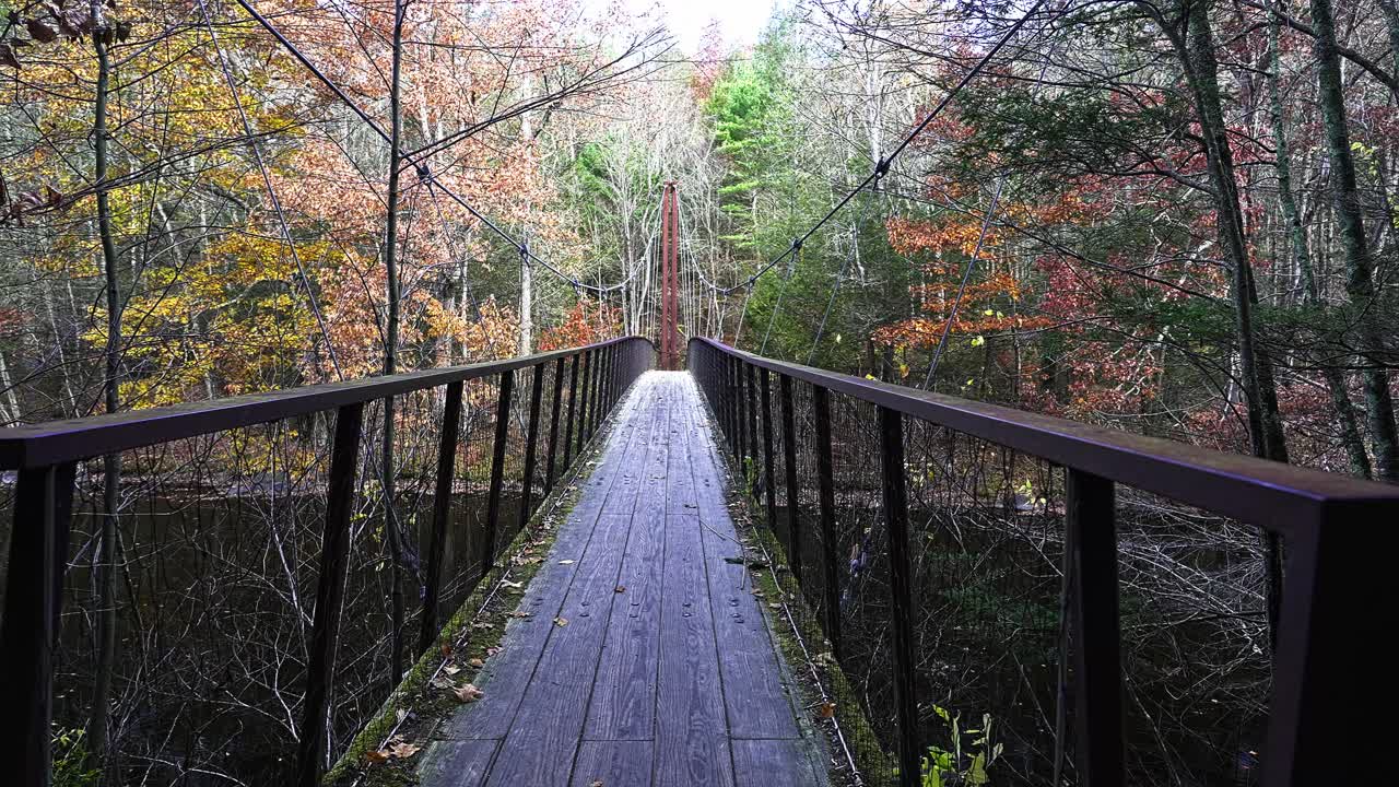A peaceful walk across a suspension bridge takes place in the heart of a forest. Vibrant autumn leaves create a colorful backdrop, enhancing the serene atmosphere