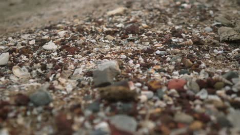 Close-up-of-a-beach-covered-with-colorful-pebbles,-shells,-and-rocks