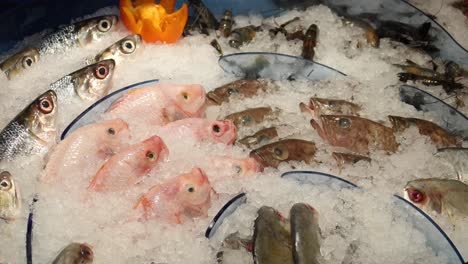 fresh fish display at a market