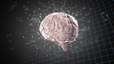 animación de la red de conexiones sobre el icono del cerebro humano giratorio y las ecuaciones matemáticas.