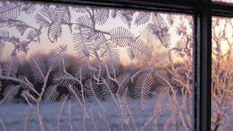 frosty winter window view
