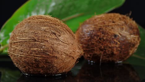 a coconut slowly rotates in the water.