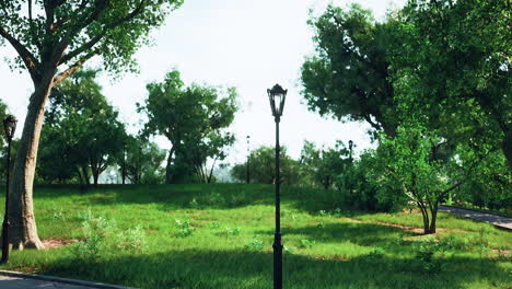 lush green park with lamp posts and trees on a sunny day
