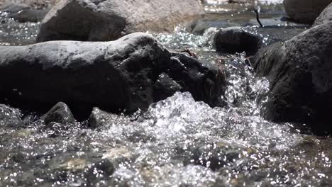 half speed of clear water flowing through rocks in a creek in southern california