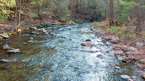 Low-aerial-drone-slow-motion-video-footage-of-a-mountain-forest-stream-during-fall-with-beautiful-golden-light