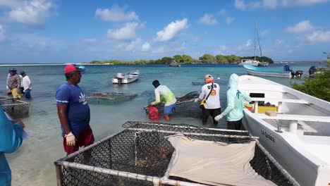 fishermen harvesting fish in the caribbean sea