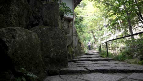 solo male tourist walking down zen garden steps