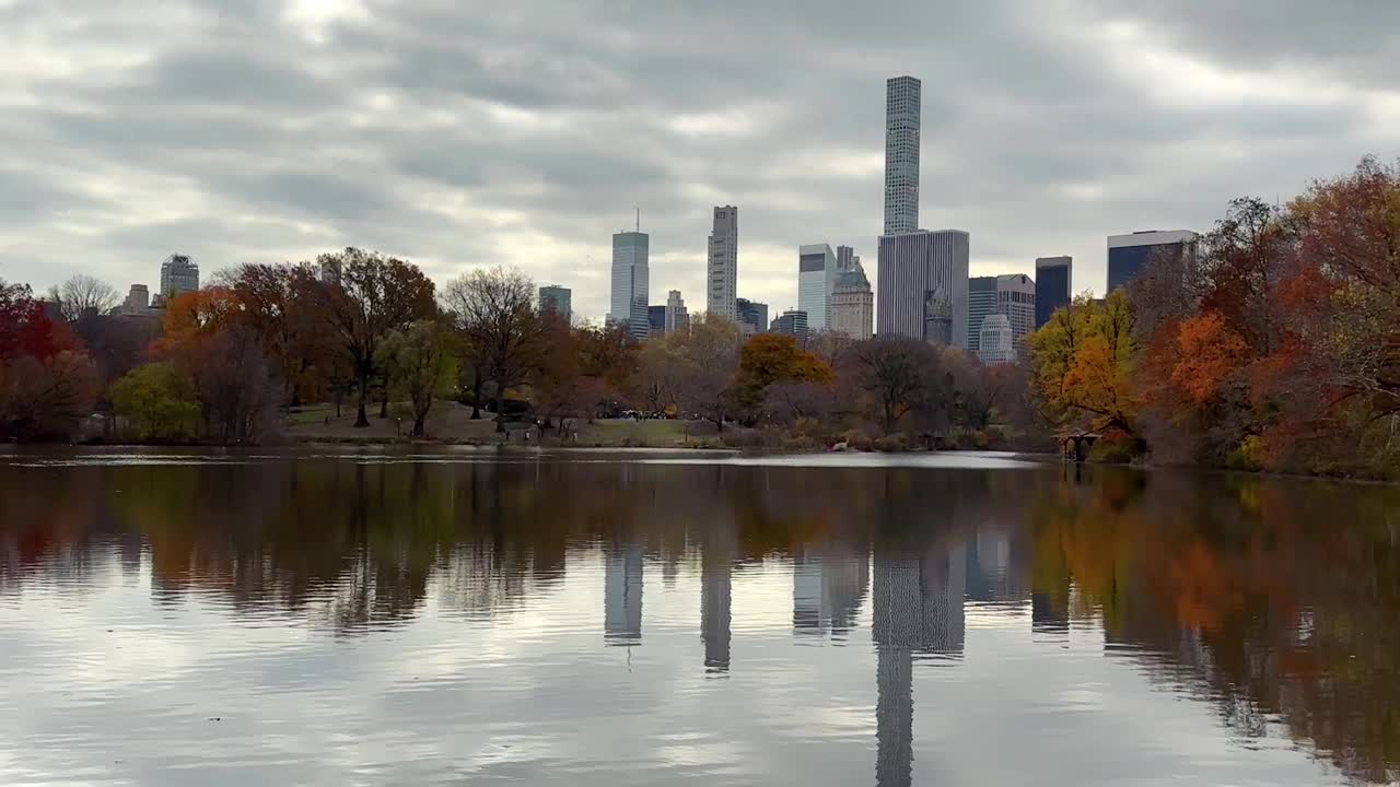 estanque de tortugas en central park, nueva york en un día nublado de otoño con rascacielos de midtown manhattan en el fondo, panorama