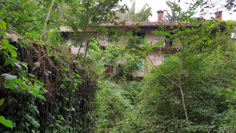 La-Vegetación-Rodea-La-Casa-En-Ruinas-Abandonada-Y-Misteriosa-Espeluznante