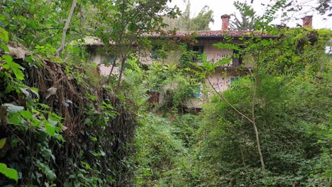 la vegetación rodea la espeluznante casa abandonada y misteriosa en ruinas.