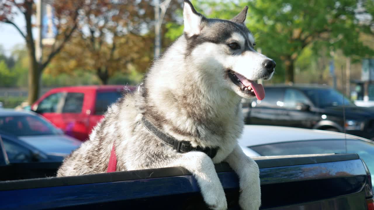 canada lake ontario summer water lakeshore toronto etobicoke water humber