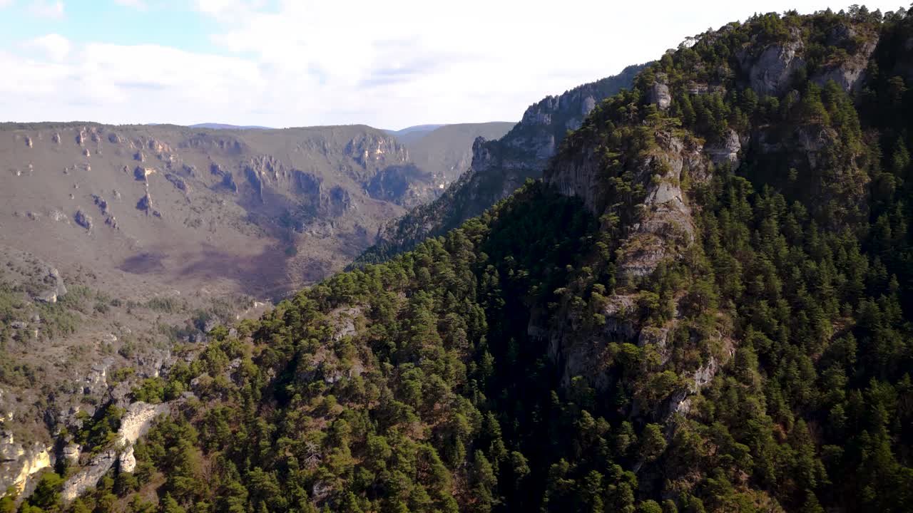 aerial of dramatic forested cliffs and valleys shaping gorges between Lozère and Aveyron