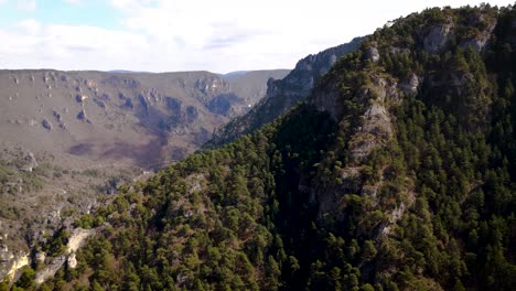 aerial of dramatic forested cliffs and valleys shaping gorges between lozère and aveyron