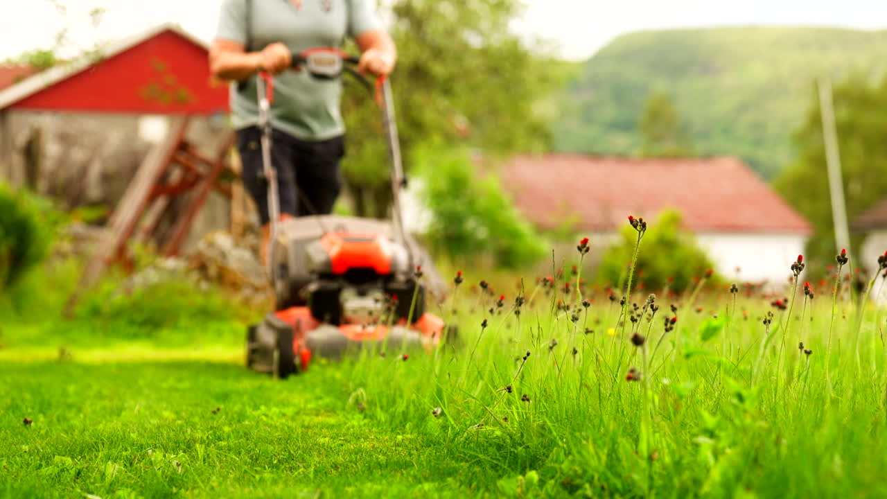 Traditional grass mowing with gas powered mower over dandelions near red-roofed homes on lush Norwegian countryside slope