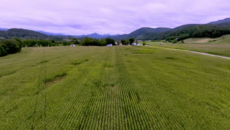 Hohe-Luftaufnahme-über-Einem-Maisfeld-In-Der-Nähe-Der-Bergstadt-Tennessee