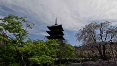 pagoda de cinco pisos con vegetación y árboles de cerezo en flor en el templo de to-ji en kyoto, japón