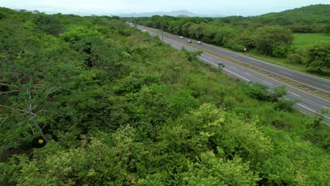 desde el aire: el frondoso follaje de la jungla rodea una concurrida autopista en una parte rural de panamá.