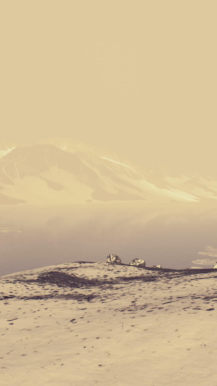 평온한 겨울 풍경: 눈 인 산의 풍경