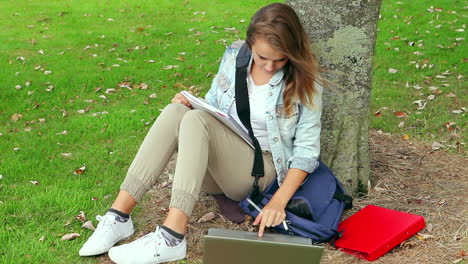 student studying and leaning against a tree