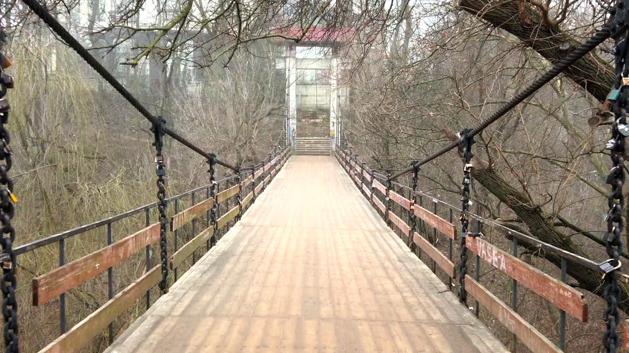 Footbridge surrounded by empty trees in a forest