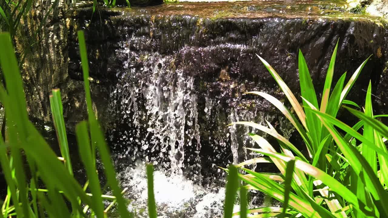 pequeña cascada en un jardín
