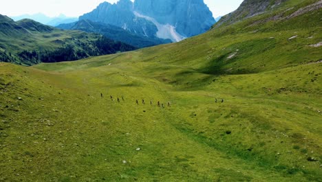 Tiro-De-Drone-De-Atletas-Corriendo-Sobre-Campo-Verde-En-Ambiente-De-Alta-Montaña