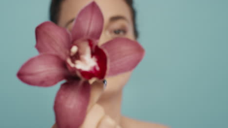 retrato de una mujer hermosa tocando juguetón el rostro con una flor de orquídea acariciando la piel perfecta disfrutando de la suave fragancia de la esencia natural concepto de cuidado de la piel saludable