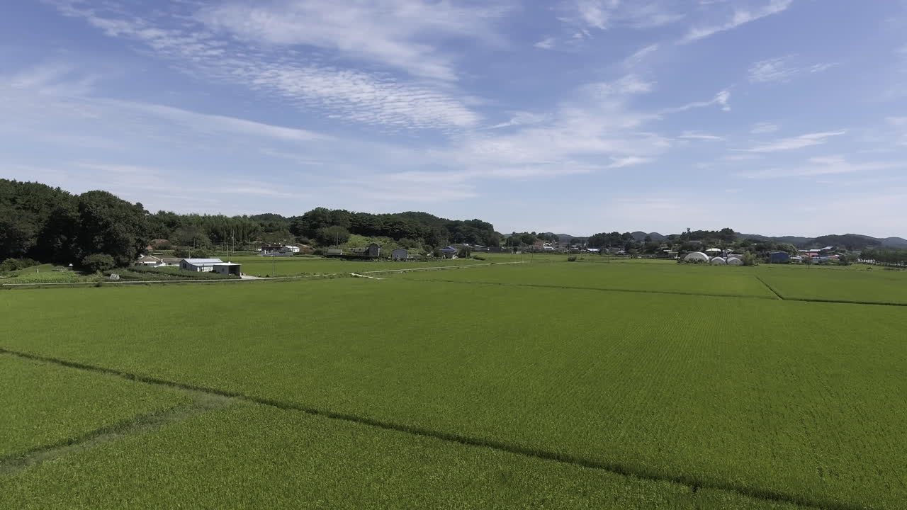Rural landscape of rice farming area of Korea.  Clear blue sky