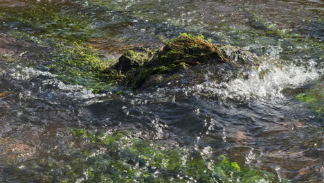 The-flowing-water-of-the-river-Arrow-passing-over-rocks-and-stones,-Warwickshire,-England