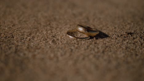primeros planos de los anillos de boda cubiertos con partículas de arena en un día soleado y ventoso en la playa
